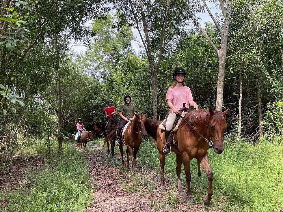 Peoples are riding on horse in the farm