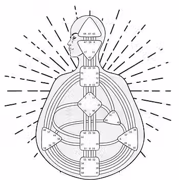 exemplo bodygraph