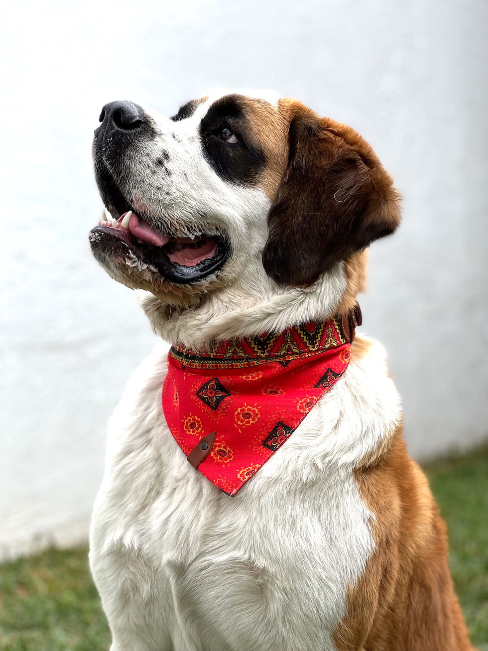 Thumbnail: Adjustable Red Bandana