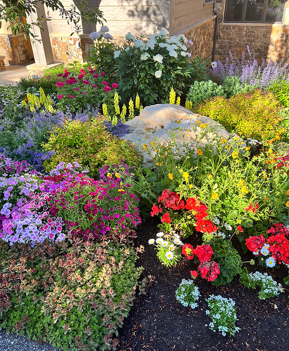 flower bed VGL