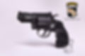S&W GRIZZLY