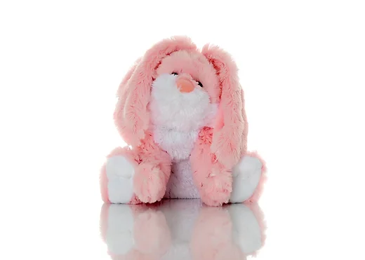Rosey Bunny Rabbit