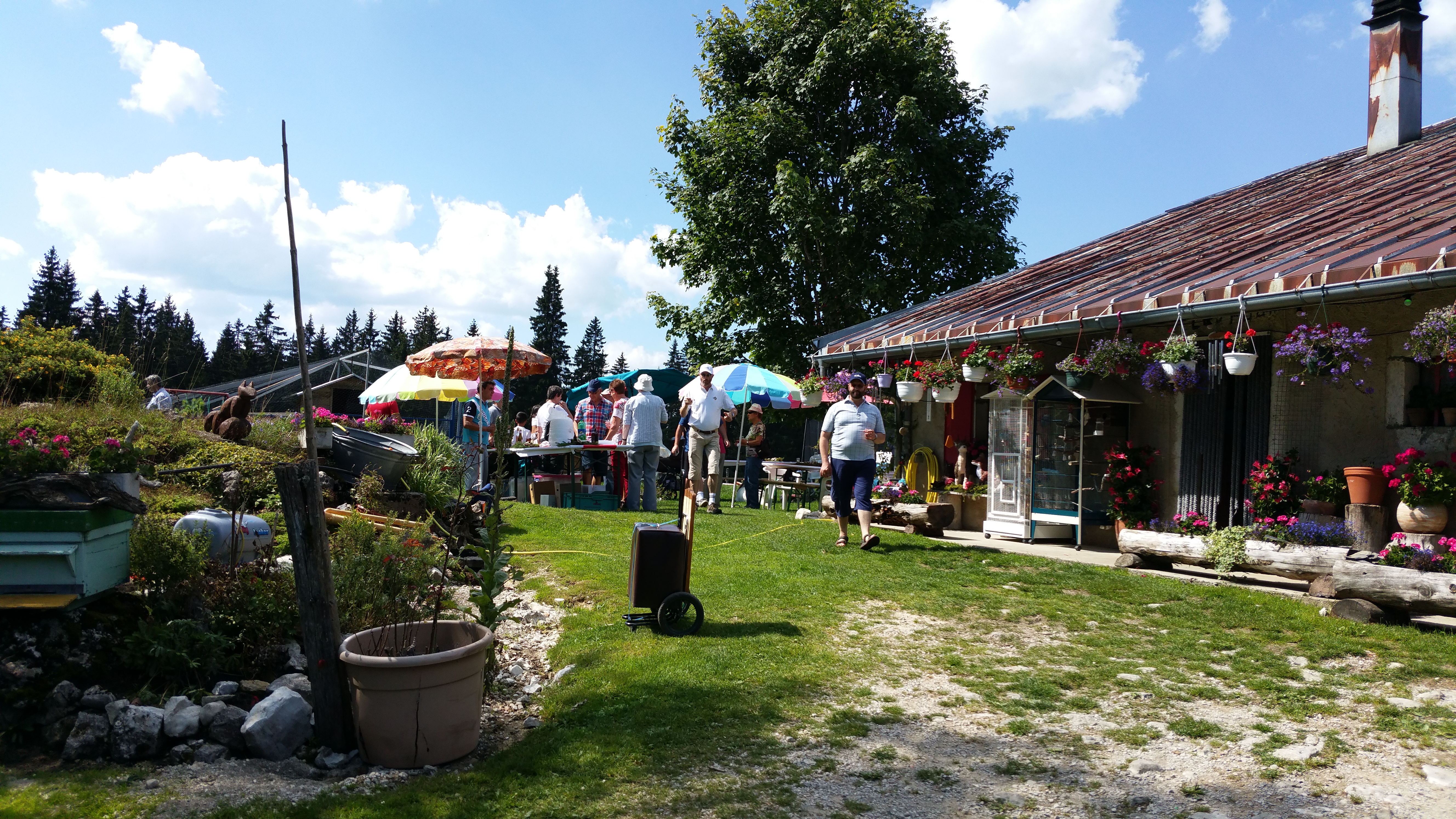 Ambiance de fête