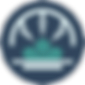 robotic_surgery_icon_circle.png
