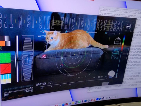 NASA laser-beams adorable cat video to Earth from 19 million miles away