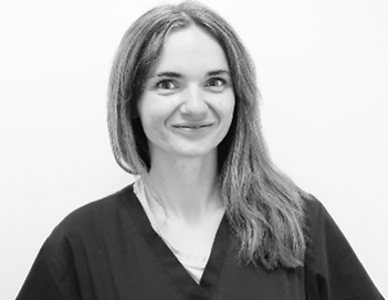 Screenshot 2024-11-05 111341.png