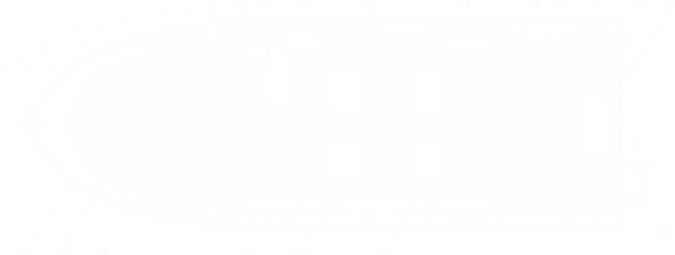 PLANTA COREL KURUMA 5.5.png