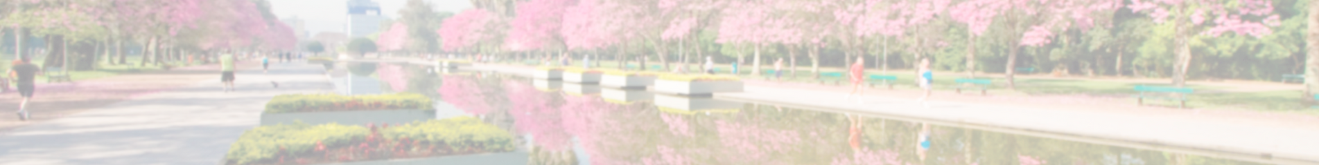 regional_sul.png