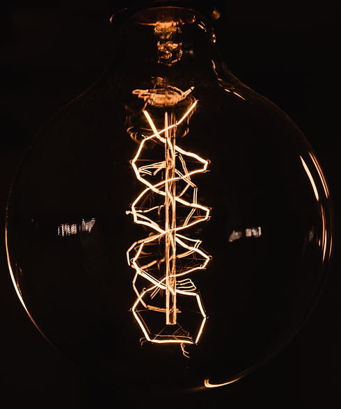 DNA filament.png