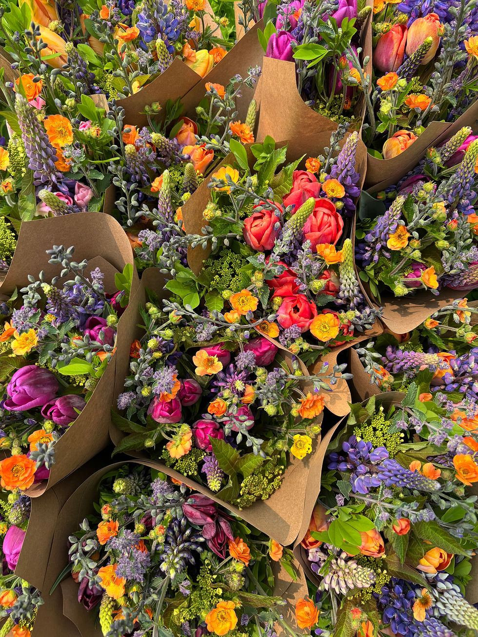 Thumbnail: 2026 Spring Flower Share | SOLD OUT!