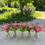 Thumbnail: Garden Vase Centerpiece Set