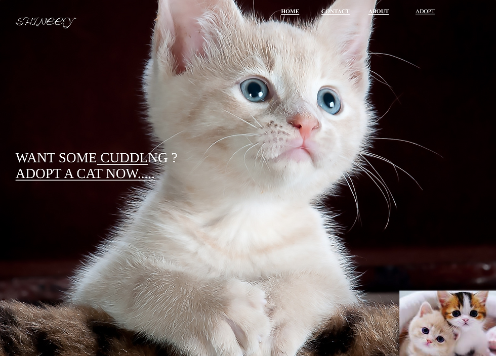 CAT.png