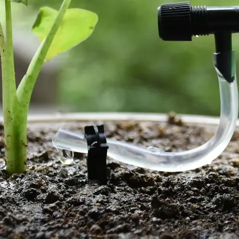 Automatic Plant Irrigation System