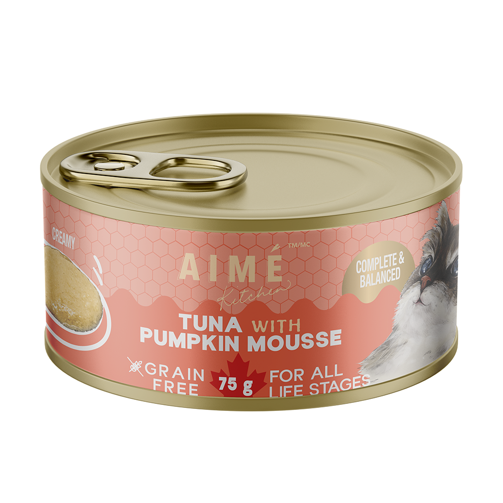 Tuna Pumpkin Mousse