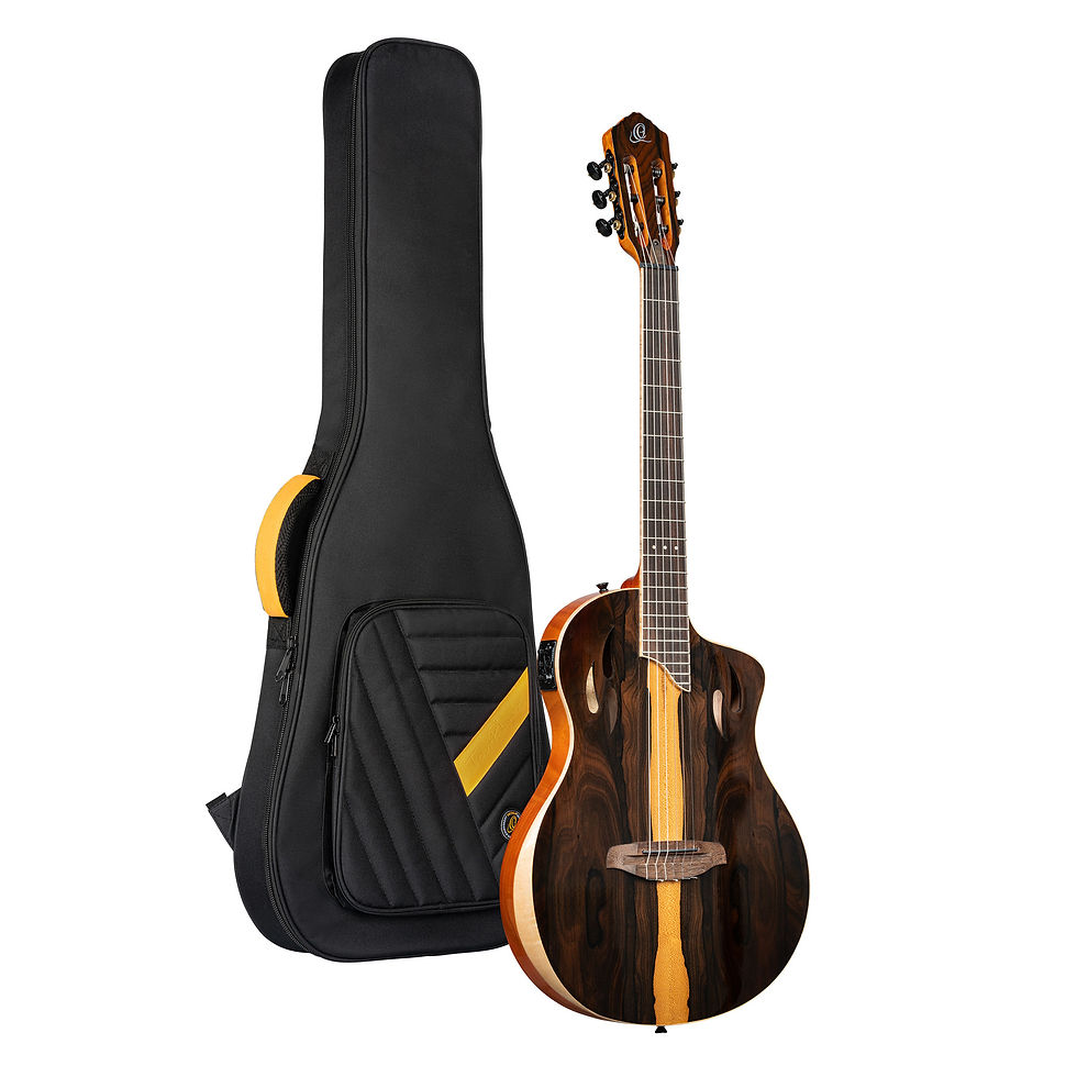 Miniaturbild: Ortega Tourplayer RTP-LTD