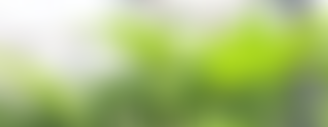 Cannabis Clones New York Clones Flower