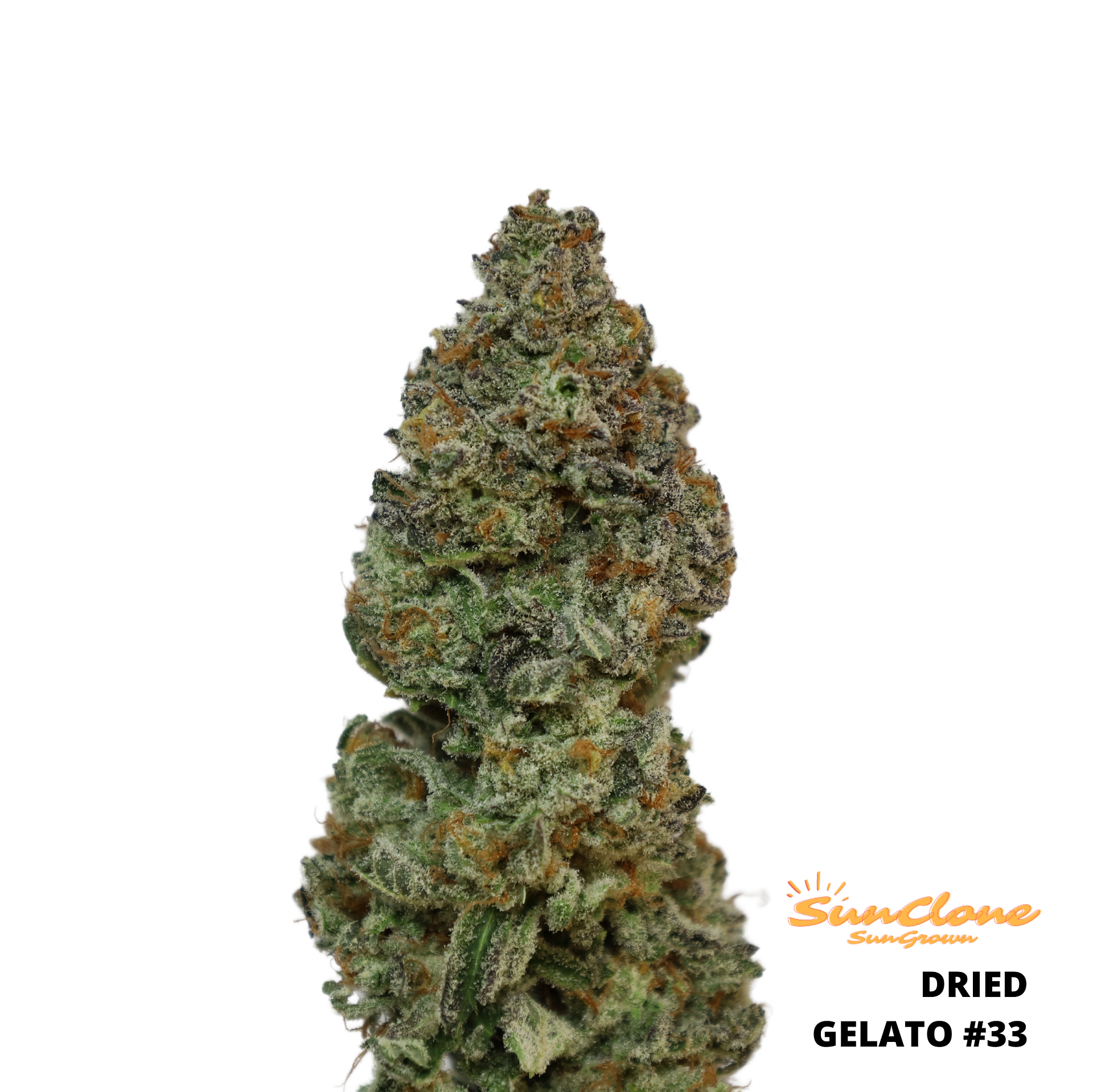Grow Cannabis in Maine Clones Flower