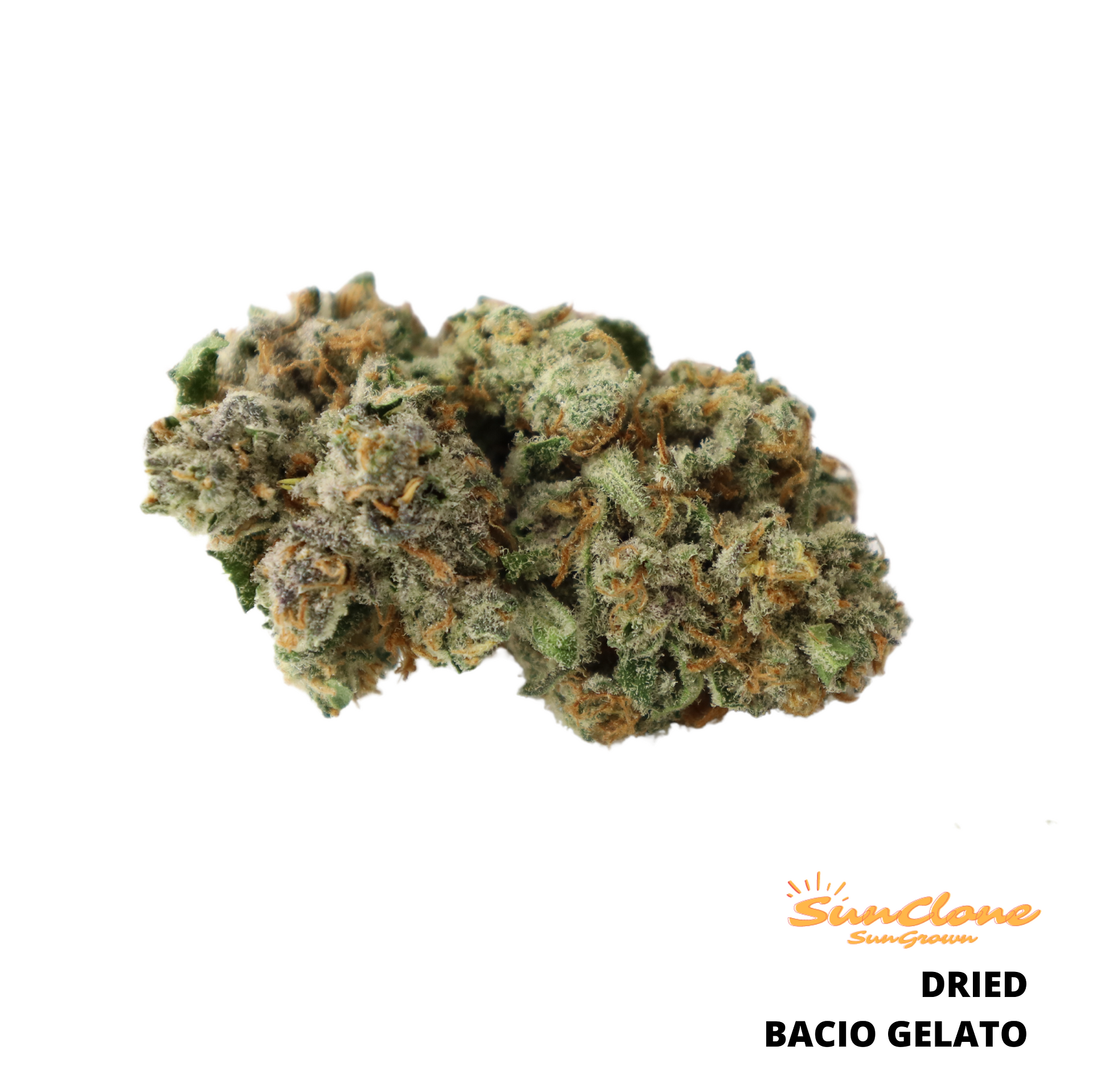 Cannabis Clones Bacio Gelato Flower