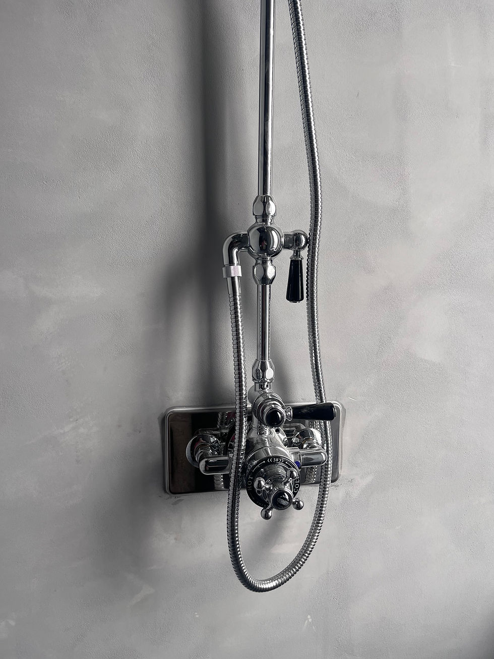 Appartement Fleurieu douche