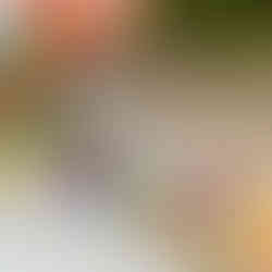 เคส มงคลสัตว์ พลังบวก เสริมดวง มงคล ปี 2569 rubsarb รับทราบ sheep ทีมไทย นกยูง phone accessories charm สายห้อยมือถือ สายคล้องมือ สายมู สัตว์มงคล พลัง โชคลาภ สุขภาพ ความรัก