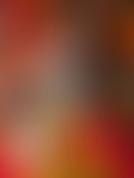 เคส มงคลสัตว์ พลังบวก เสริมดวง มงคล ปี 2569 rubsarb รับทราบ sheep ทีมไทย แมว phone accessories wallet เคสใส่บัตร แปะมือถือ สายมู สัตว์มงคล พลัง โชคลาภ สุขภาพ ความรัก