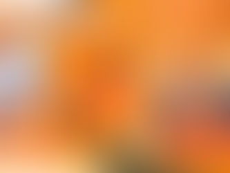 AppleSheep บุกบางกะปิแล้ว! พร้อมโปรโมชันฉลองเปิดสาขาใหม่ @The Mall Lifestore Bangkapi 