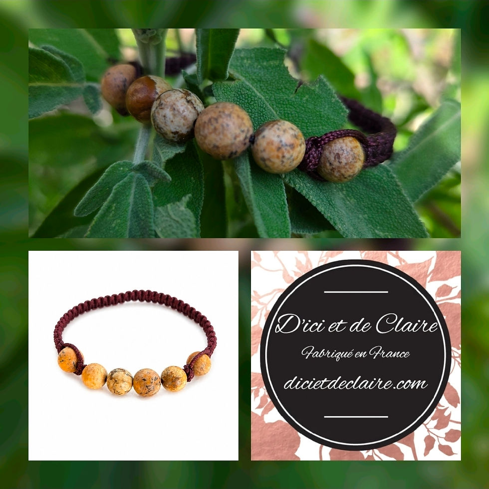 Un bracelet sur une branche d arbre , logo d'ici et de claire et un bracelet shamballa sur un fond blanc