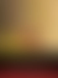 "The Handmaid's Tale" by Margaret Atwood