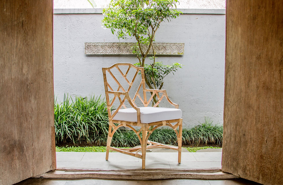 sillon de rattan natural