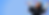 virtual emily_banner-02-01.png