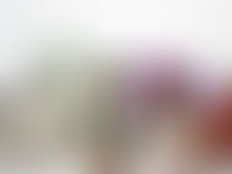 Amigurumi: Magia Intrecciata nelle Tue Mani