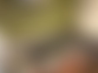 中央区晴海マンションリフォーム工事