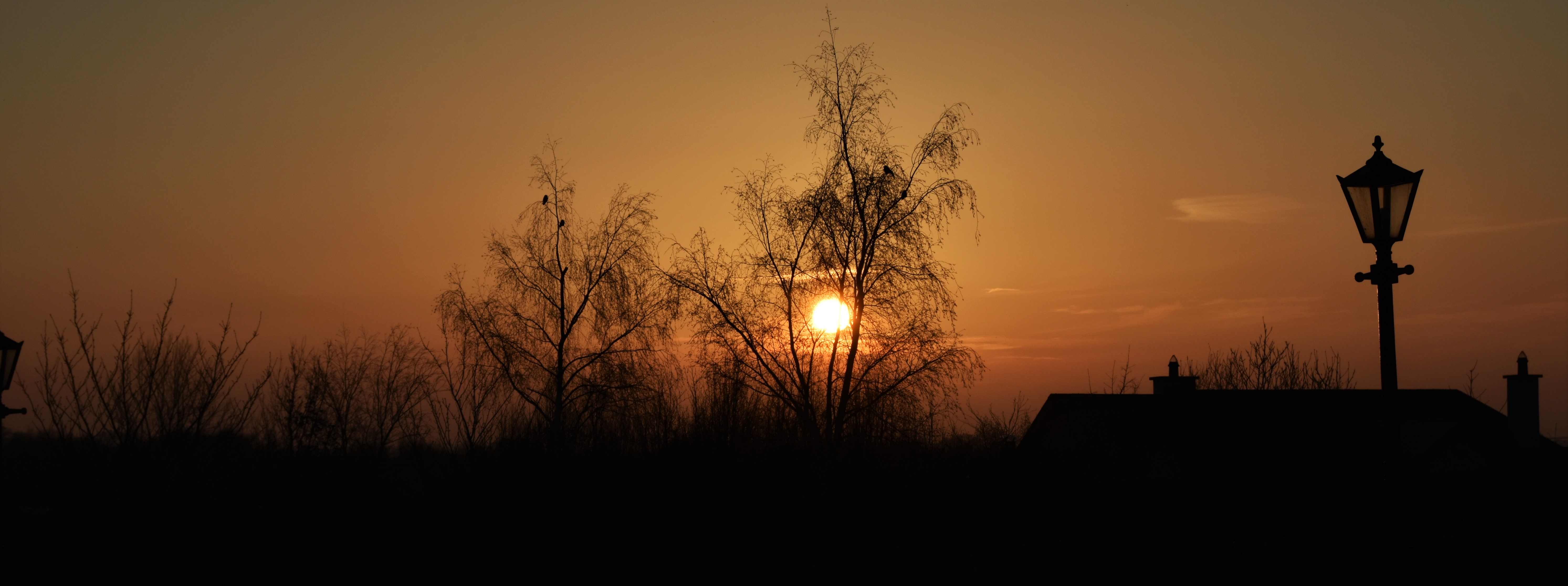 The Beauty Sunset