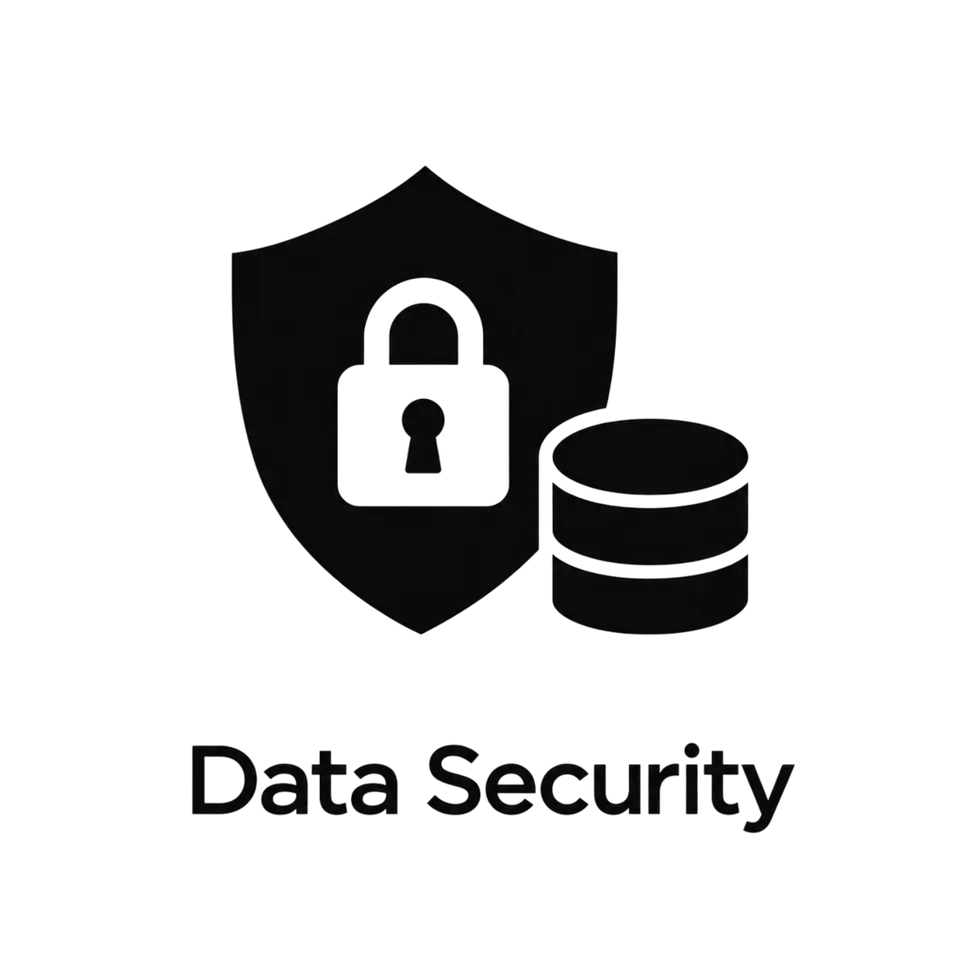 dasta security.png