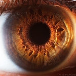Iridossomatologia