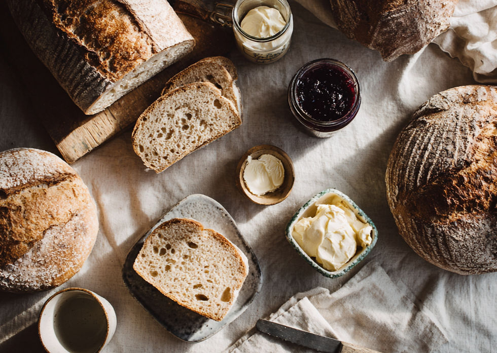 Forage Breads bread box variety grain-free and gluten-free