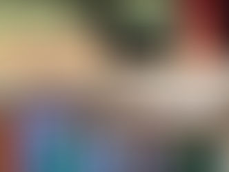 S t a u b f ä n g e r