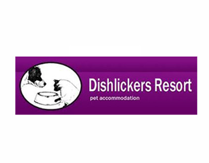 Dishlickers web.jpg