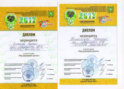 Дипломы участников