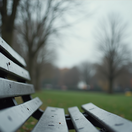 A quiet park bench symbolising solitude and reflection