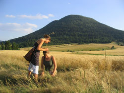 BUZA KOZOTT