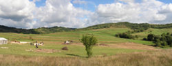 naposabb reggel