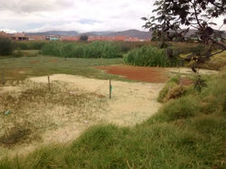 Tierra Blanca_ sector Torrentes. Septiembre 2015