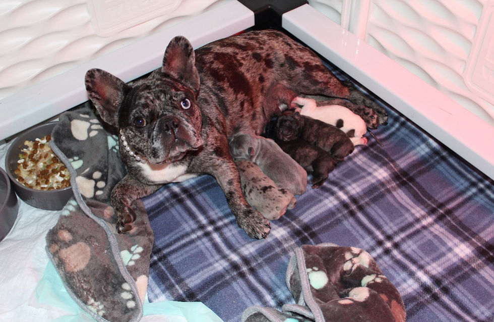 thelma and babies 2024.jpg