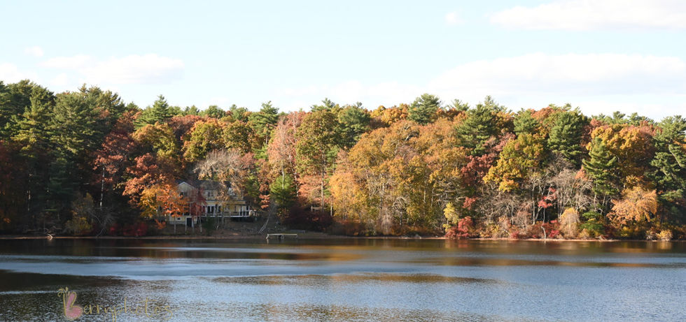 From the rear lower deck you can see the lake perfectly with all the trees in full foliage displays lining the shores at Camp Kiwanee in Hanson MA