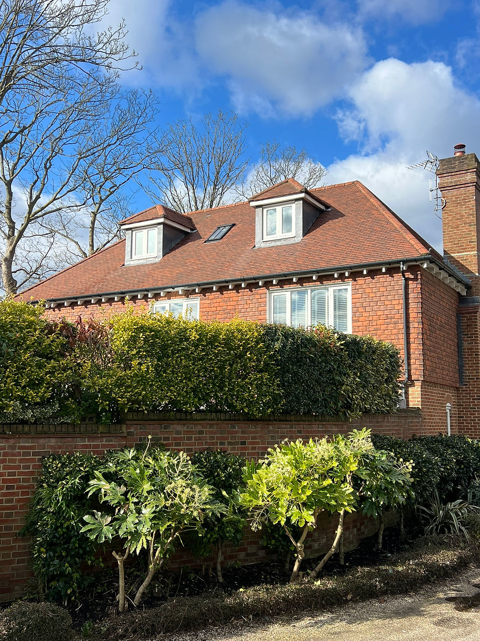 Roof Cleaning West Sussex - After