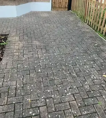 algae infested block paved patio