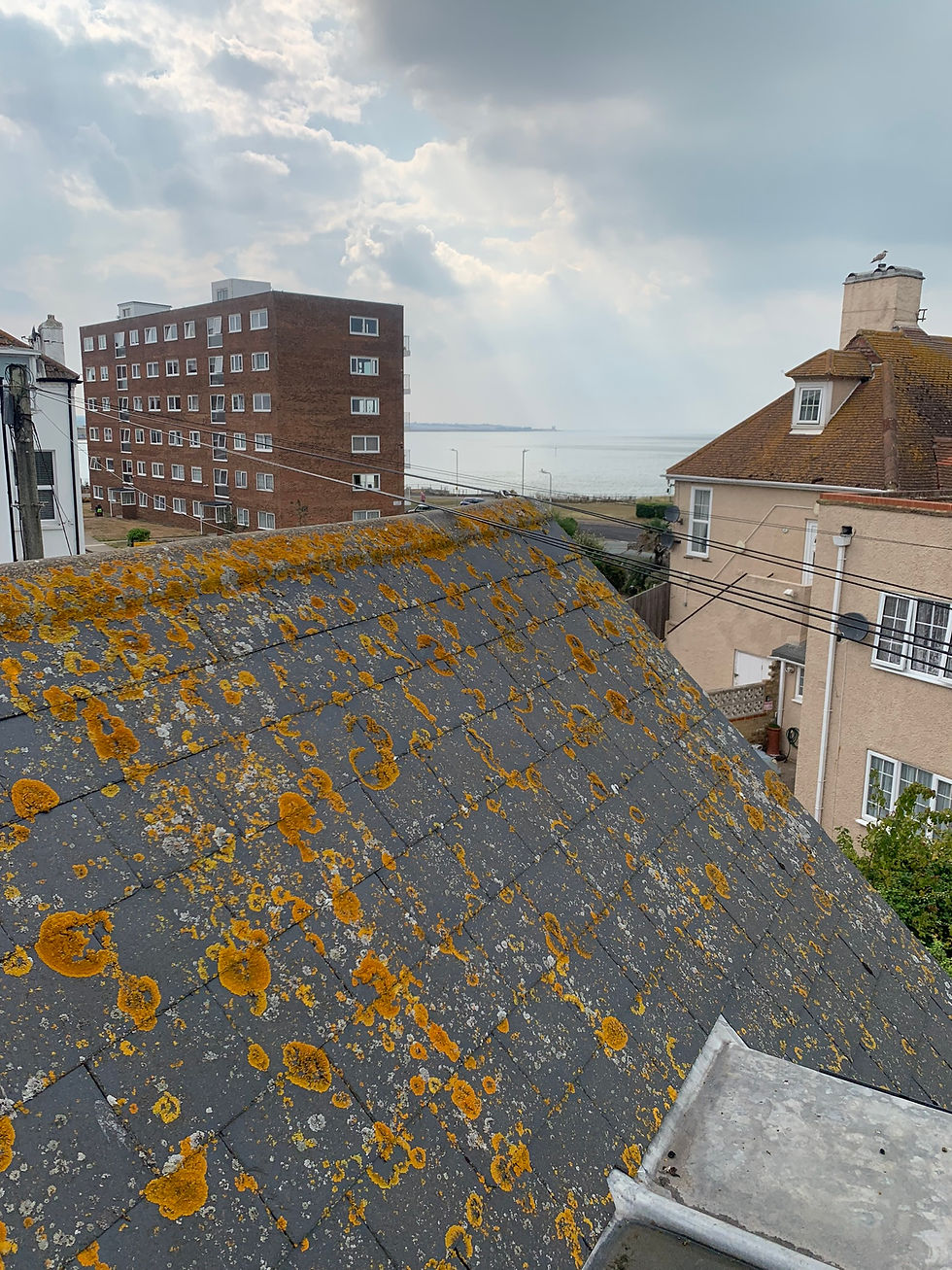 Slate Roof Steam Cleaned West Sussex
