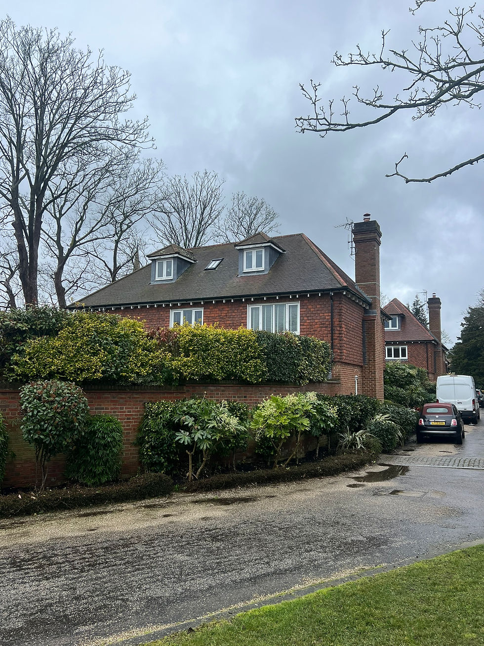 Roof Cleaning West Sussex - Before