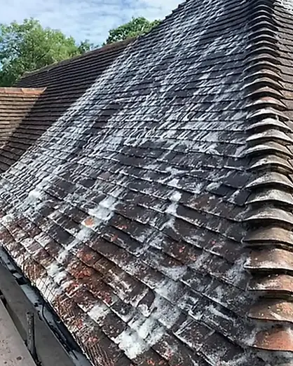 roof-softwash.webp